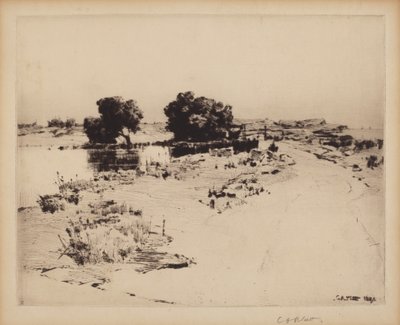 Cape Ann Weiden von Charles A. Platt