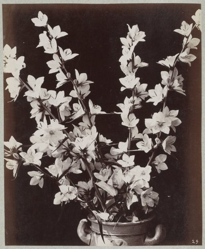 Blumenstudie mit Kölner Topf von Charles Aubry (manner of)