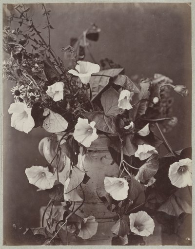 Blumenstudie mit Kölner Topf von Charles Aubry (manner of)