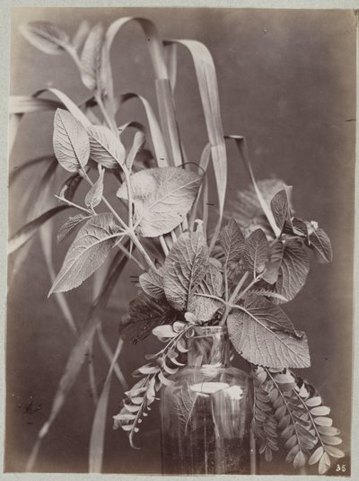 Blumenstudie mit Glasflasche von Charles Aubry (manner of)