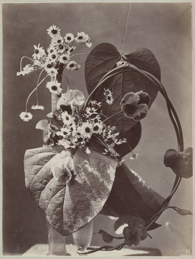 Blumenstudie mit Glasvasen von Charles Aubry (manner of)