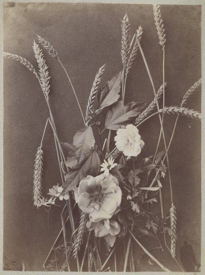 Blumenstudie mit Ähren von Charles Aubry (manner of)