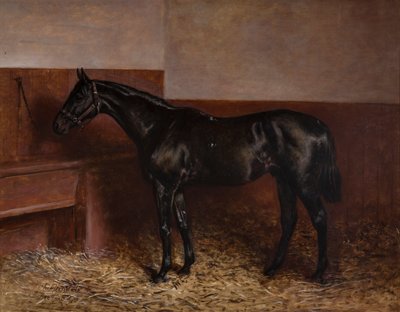 Chippendale in einer Box von Charles Augustus Henry Lutyens