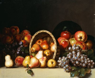 Äpfel, Birnen, Pflaumen und Trauben von Charles Bird King