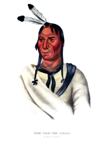 Eshtahumbah (Schläfrige Augen), ein Sioux-Häuptling von Charles Bird King