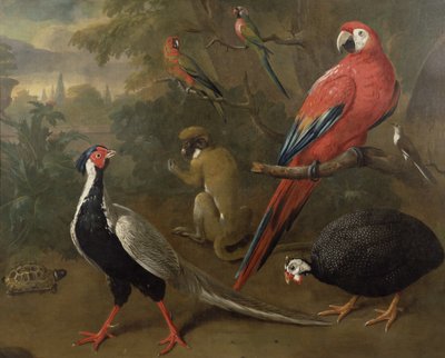 Fasan, Ara, Affe, Papageien und Schildkröte von Charles Collins