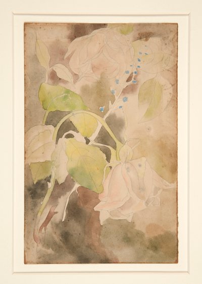 Pfirsichfarbene Rose von Charles Demuth