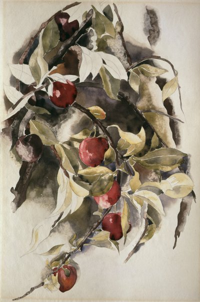 Pflaumen, 1925 von Charles Demuth