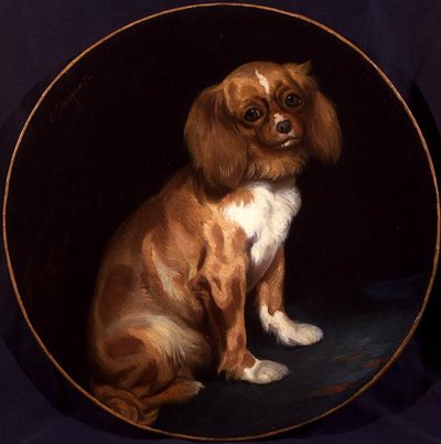 Ein King Charles Spaniel von Charles Emile Callande de Champmartin