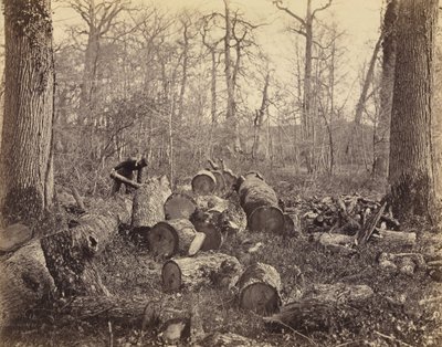 Wald von Fontainebleau von Charles Famin