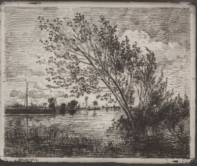 Ein Haufen Erlen von Charles Francois Daubigny