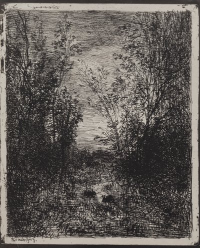 Ein Bach in einer Lichtung von Charles Francois Daubigny