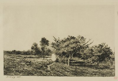 Apfelbäume in Auvers von Charles Francois Daubigny