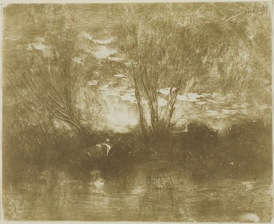 Kühe an der Tränke von Charles Francois Daubigny