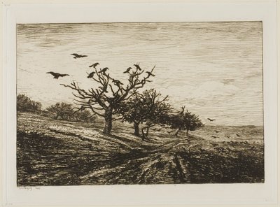 Krähen in einem Baum von Charles Francois Daubigny
