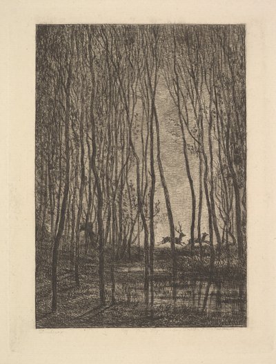 Hirsche im Wald, 1850 von Charles Francois Daubigny