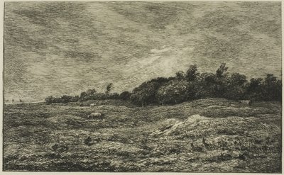 Le Pré des Graves in Villerville (Calvados) von Charles Francois Daubigny