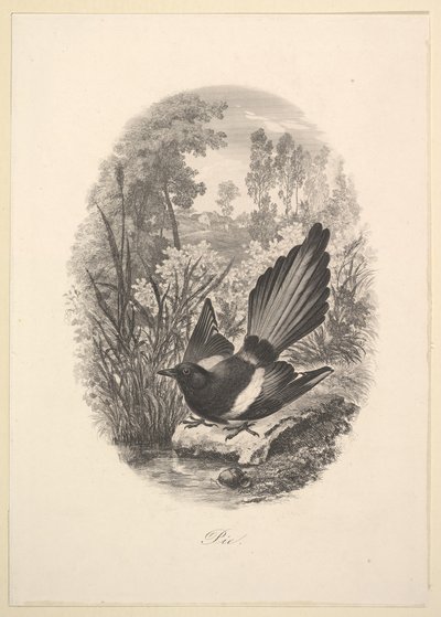 Elster, 1843 von Charles Francois Daubigny
