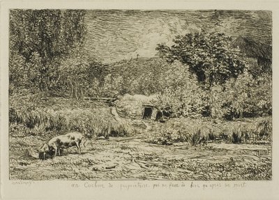 Schwein in einem Obstgarten von Charles Francois Daubigny