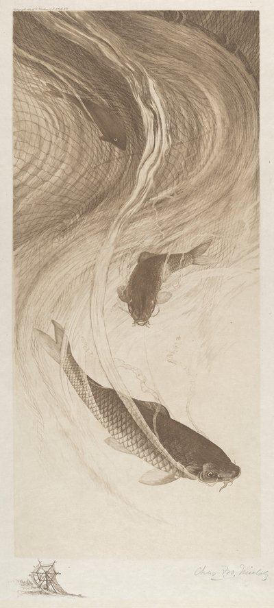 In den Maschen von Charles Frederick William Mielatz