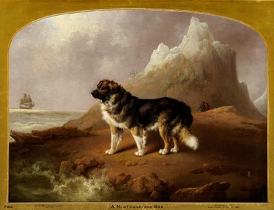 Ein Neufundländer Hund von Charles Henry Schwanfelder