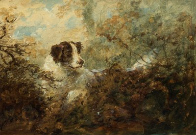 Hund von Charles Henry Schwanfelder