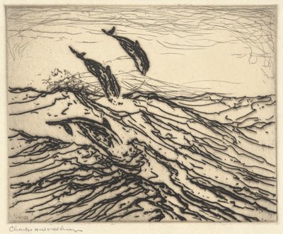 Schweinswale von Charles Herbert Woodbury