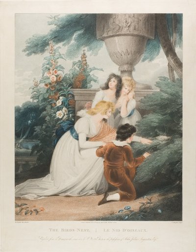 Das Vogelnest von Charles Knight