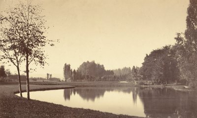 Bois de Boulogne von Charles Marville