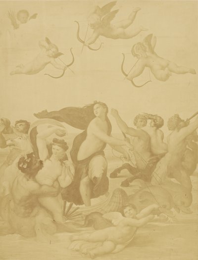 Reproduktion von Galatea von Raffael von Charles Marville