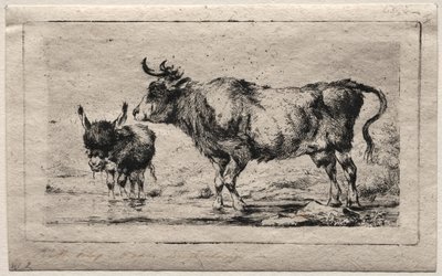 Kuh und Esel von Charles Meryon