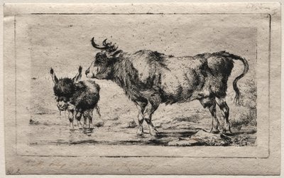 Kuh und Esel, 1849 von Charles Meryon