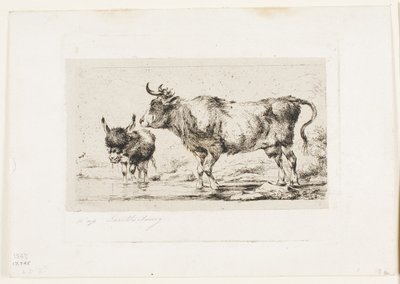Die Kuh und der Esel von Charles Meryon