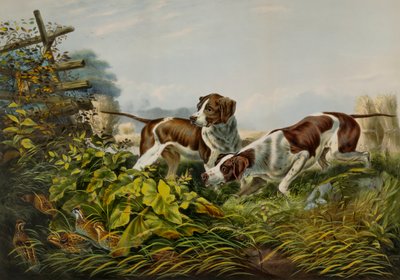 Amerikanische Feldsportarten. "Auf einem Punkt." von Charles Parsons