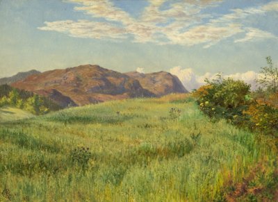 Ein Hochland-Haferfeld von Charles Parsons Knight