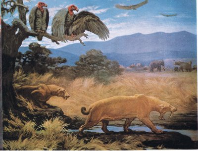 Säbelzahnkatzen von Charles Robert Knight