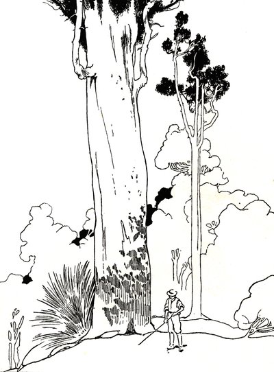Ein Kauri-Baum, 1912 von Charles Robinson