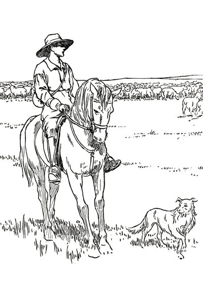 Eine Schafstation in Australien, 1912 von Charles Robinson