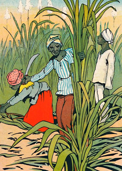 Bei der Arbeit unter den Zuckerrohren, 1912 von Charles Robinson