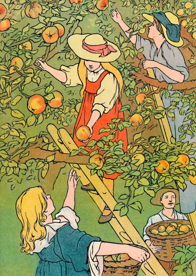 Früchte pflücken, 1912 von Charles Robinson