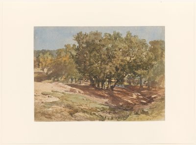 Ansicht von Beekhuizen, auf den Zijpenberg von Charles Rochussen