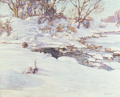 Wintersonnenlicht von Charles Rosen