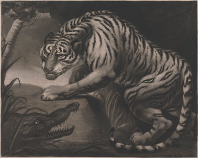 Tiger und Krokodil von Charles Turner