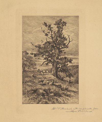 Landschaft mit Schafen von Charles Volkmar