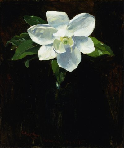 Magnolie, 1895 von Charles Walter Stetson