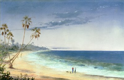 Kubanische Landschaft, 1866 von Charles de Wolfe Brownell