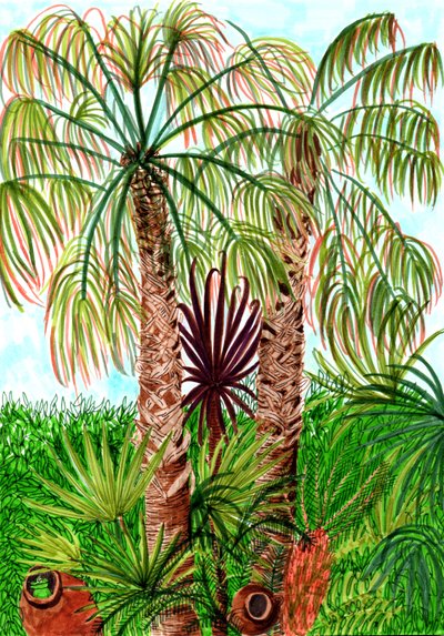 Barcelona Palmen von Charlotte Orr