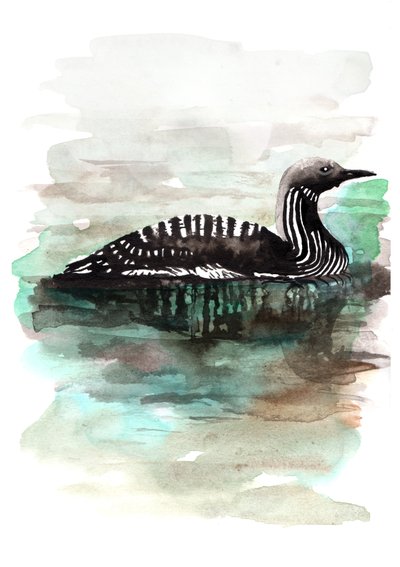 Ente von Charlotte Orr