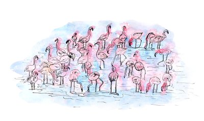 Flamingos 2, 2018 von Charlotte Orr