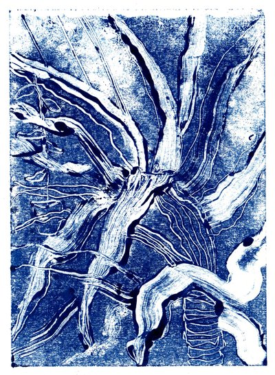 Tintenpflanzen Nr. 2 von Charlotte Orr